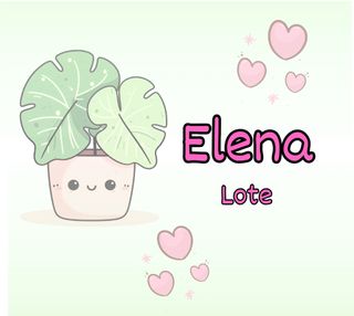 Lote Elena