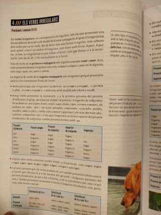 Llengua Catalana i Literatura 4t ESO - Fanfest - 97884479519