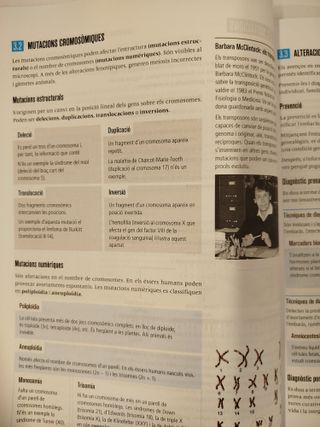 Biologia i Geologia 4t ESO - Fanfest - 9788447951963 - Como