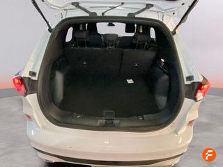 Ford Kuga ST-Line 1.5T EcoBoost 110kW (150CV)