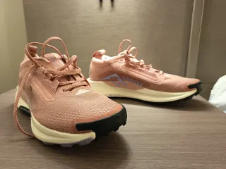 Nike Pegasus Trail Gore-Tex