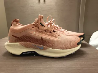 Nike Pegasus Trail Gore-Tex