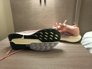 Nike Pegasus Trail Gore-Tex