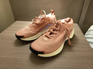 Nike Pegasus Trail Gore-Tex