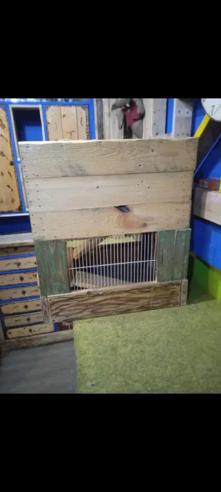 Caseta para hámster de madera