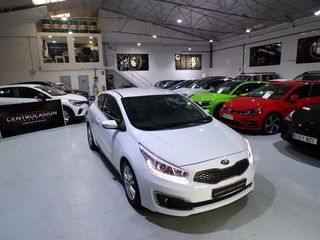 KIA pro_cee'd 1.6 CRDi 115cv Drive Plus