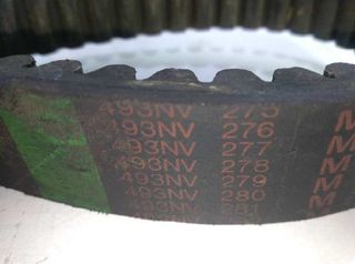 Peugeot 493nv278 correa de la distribución 1038491