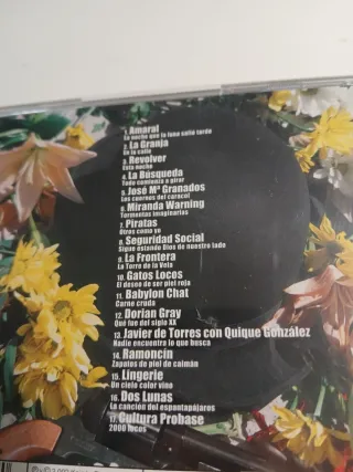 Lote 6 CDs Música Pop Rock