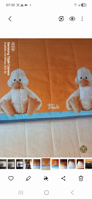 Trapuntino singolo Trudi