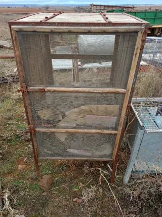 Jaula antigua de madera y malla