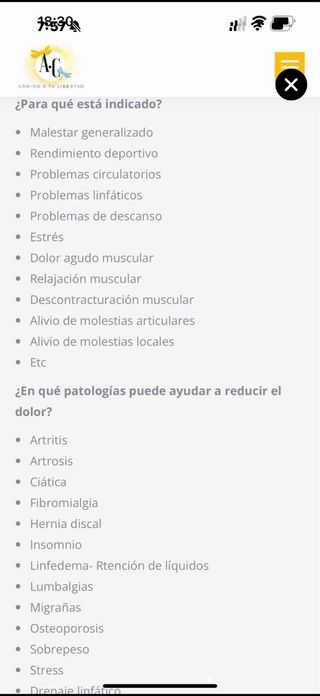 Super oferta camilla auto masaje nueva