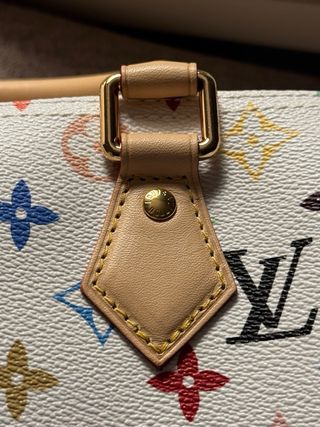 Bolso Louis Vuitton Multicolor Blanco