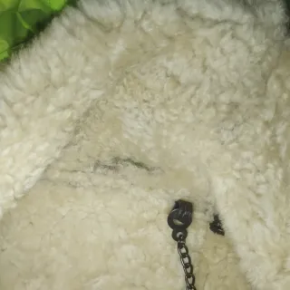 Cazadora Aviador Green Coast Piel