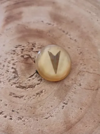 Spilla vintage rotonda in resina con inserto