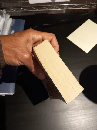 IRIS MURDOCH: UNA DERROTA BASTANTE HONROSA