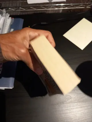 IRIS MURDOCH: UNA DERROTA BASTANTE HONROSA