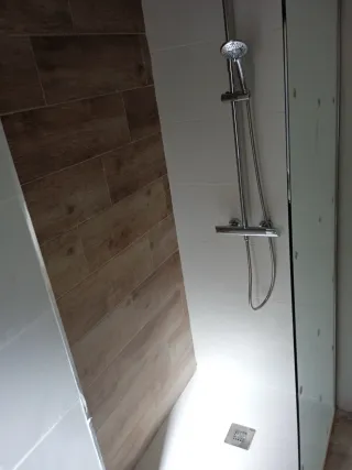 Albañil independiente Reforma de baños