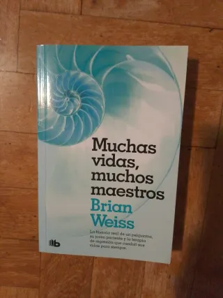 Muchas vidas, muchos maestros