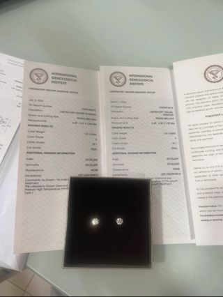 Pendientes Diamante Oro Blanco IGI dormilonas