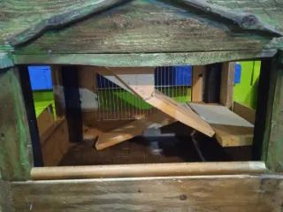 Caseta Hamster Madera Marrón/Verde