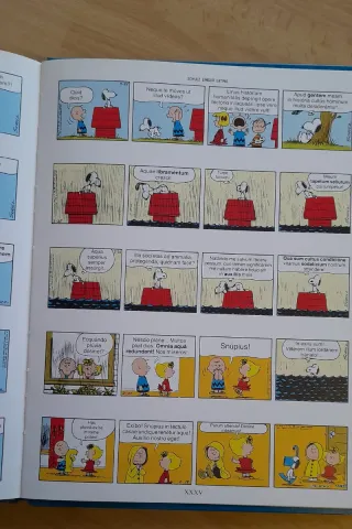 2 Libri Vintage Snoopy e Disney (Latino/Inglese)