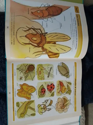 Mi primer Larousse de Ciencias (Spanish Edition)