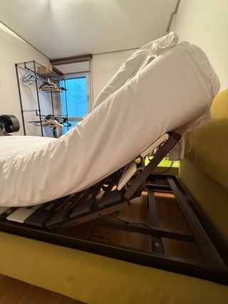 Cama articulada eléctrica DORWIN 2 unidades