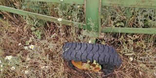 Remolque 4,80 m para cosechadora.