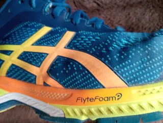 Zapatillas Asics Gel Kayano Hombre/Mujer