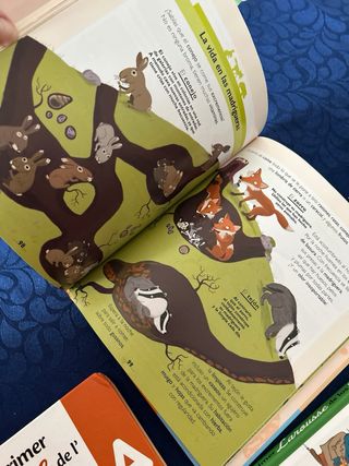 3 libros infantiles colección Larousse