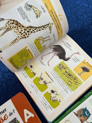 3 libros infantiles colección Larousse