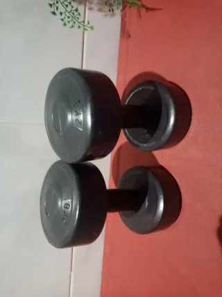 2 Pesas de 2 kg cada una