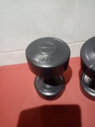 2 Pesas de 2 kg cada una
