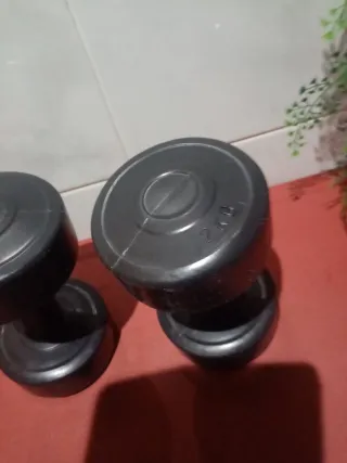 2 Pesas de 2 kg cada una