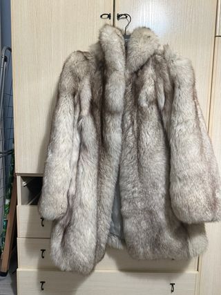 Meravigliosa pelliccia volpe Groenlandia
