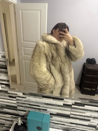 Meravigliosa pelliccia volpe Groenlandia