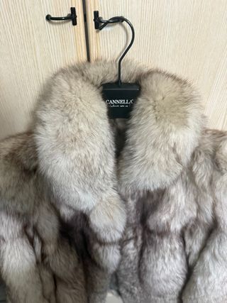 Meravigliosa pelliccia volpe Groenlandia