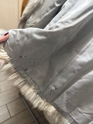 Meravigliosa pelliccia volpe Groenlandia