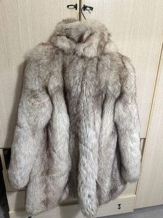 Meravigliosa pelliccia volpe Groenlandia