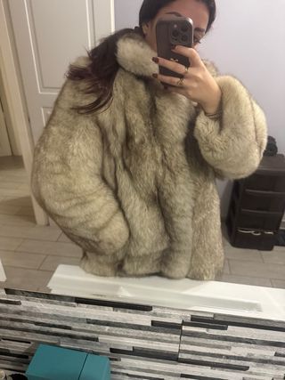 Meravigliosa pelliccia volpe Groenlandia