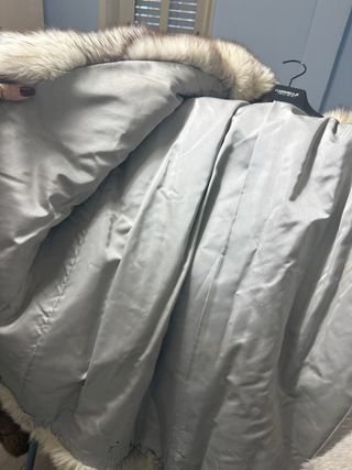 Meravigliosa pelliccia volpe Groenlandia