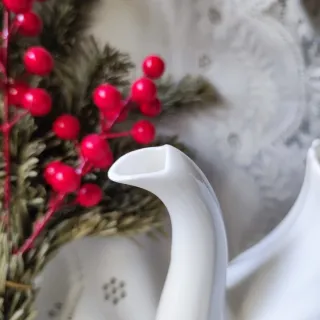 Caffettiera Royal Doulton Cascade