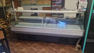 Vitrina expositora 3m con luz y nevera