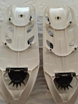 Raquetas de Nieve Inook Expert