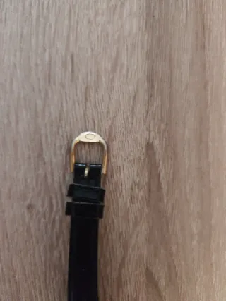 Due orologi da polso