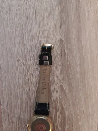 Due orologi da polso