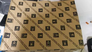 Pieza salpicadero Citroën C4