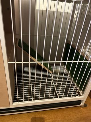 Conejera Pawhut Madera Beige y Blanca