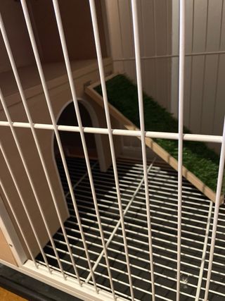 Conejera Pawhut Madera Beige y Blanca