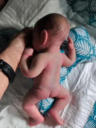 Muñeca Reborn de Silicona